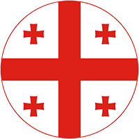 Logo squadra GEORGIA